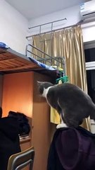 Making a wrong decision.