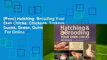 [Read] Hatching  Brooding Your Own Chicks: Chickens, Turkeys, Ducks, Geese, Guinea Fowl  For Online