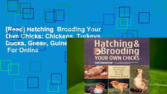 [Read] Hatching Brooding Your Own Chicks: Chickens, Turkeys, Ducks, Geese, Guinea Fowl For Online