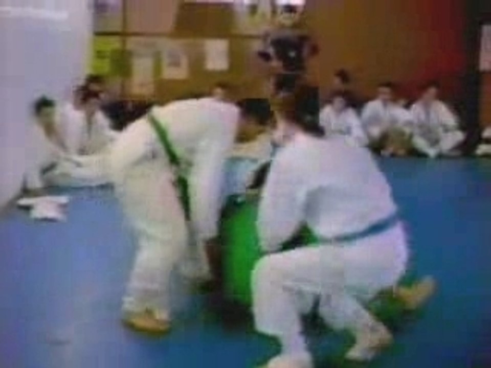 Juiz_karate