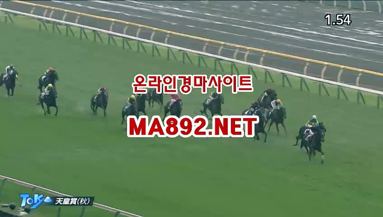 부산경마 M A 892 점 NET