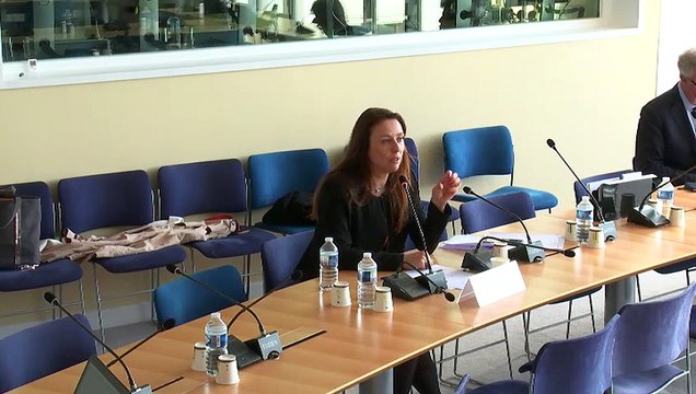 Impact des énergies renouvelables : Auditions diverses - Jeudi 16 mai 2019