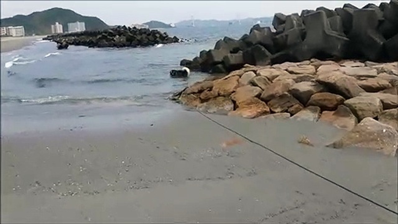 竜宮の磯