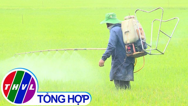 THVL | Chuyện hôm nay: Cần loại trừ các hoạt động sản xuất nông nghiệp gây ô nhiễm môi trường