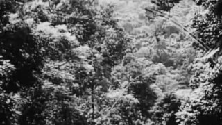 World War II_ The War in the Jungle - Full Documentary
