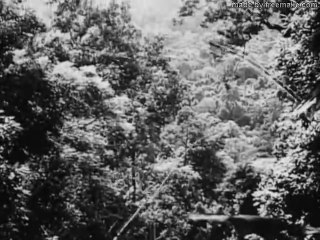 World War II_ The War in the Jungle - Full Documentary