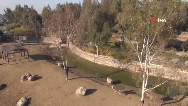 Bu Mutfaktaki Kazanlar 2 Bin 600 Hayvan İçin Kaynıyor