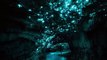 Waitomo Glowworm Caves New Zealand - Woovly Bucket List Ideas