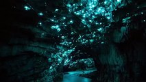 Waitomo Glowworm Caves New Zealand - Woovly Bucket List Ideas