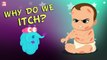 Why Do We Itch? The Dr. Binocs Show | Best Learning Videos For Kids | Peekaboo Kidz
