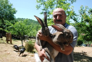 Görenler Gözlerine İnanamıyor