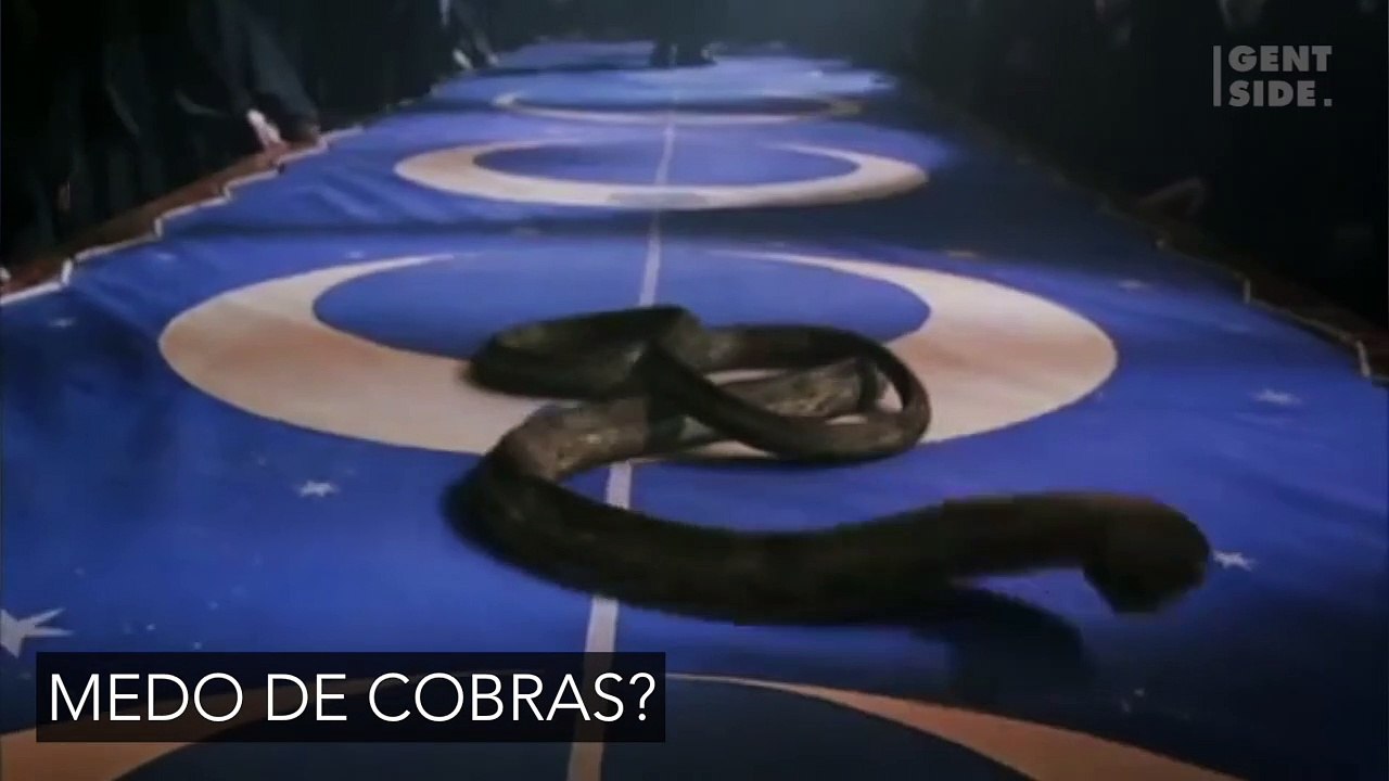 Essa mulher ficou desesperada quando se deparou...