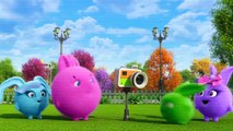 Sunny Bunnies MAGIC ALARM | Videos For Kids | Funny Videos For Kids