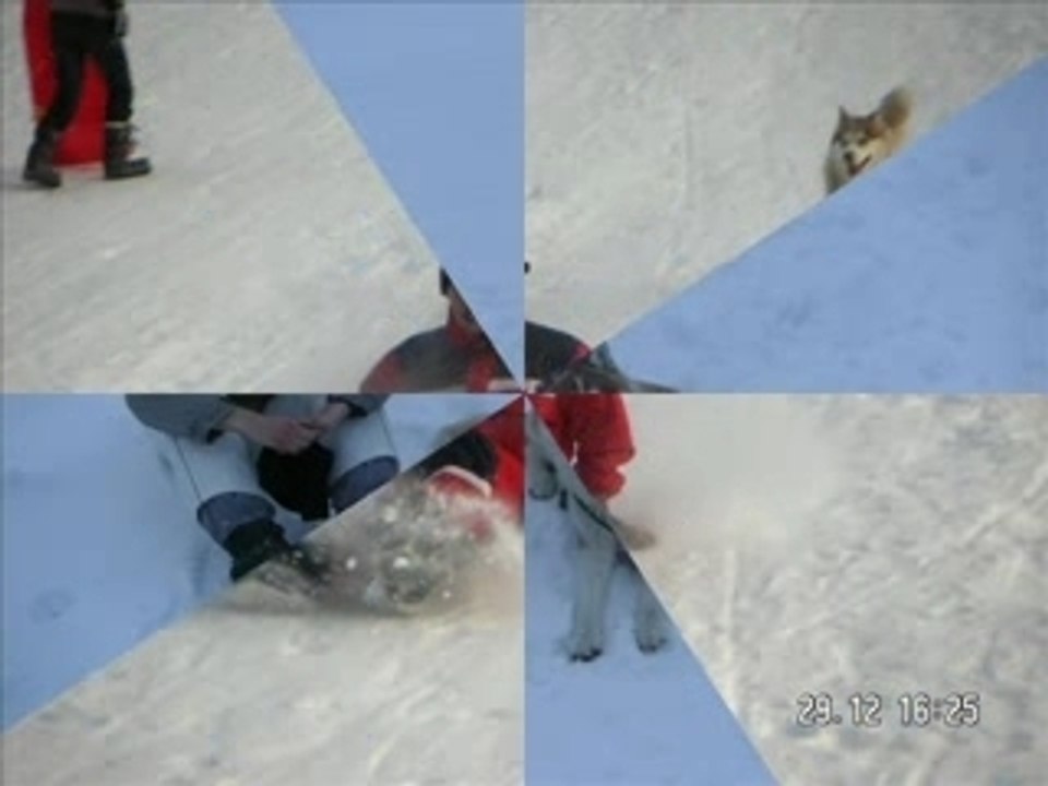 P'tit loup_1