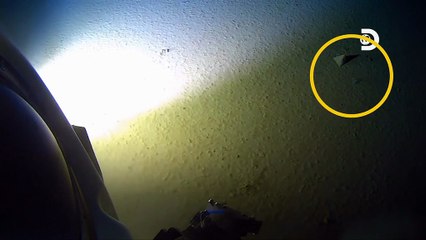 Du plastique dans les abysses : sa décomposition prendra "plusieurs dizaines, voire centaines d’années"