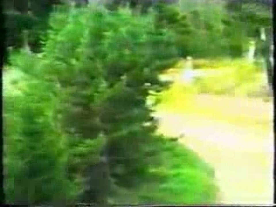 auto crash