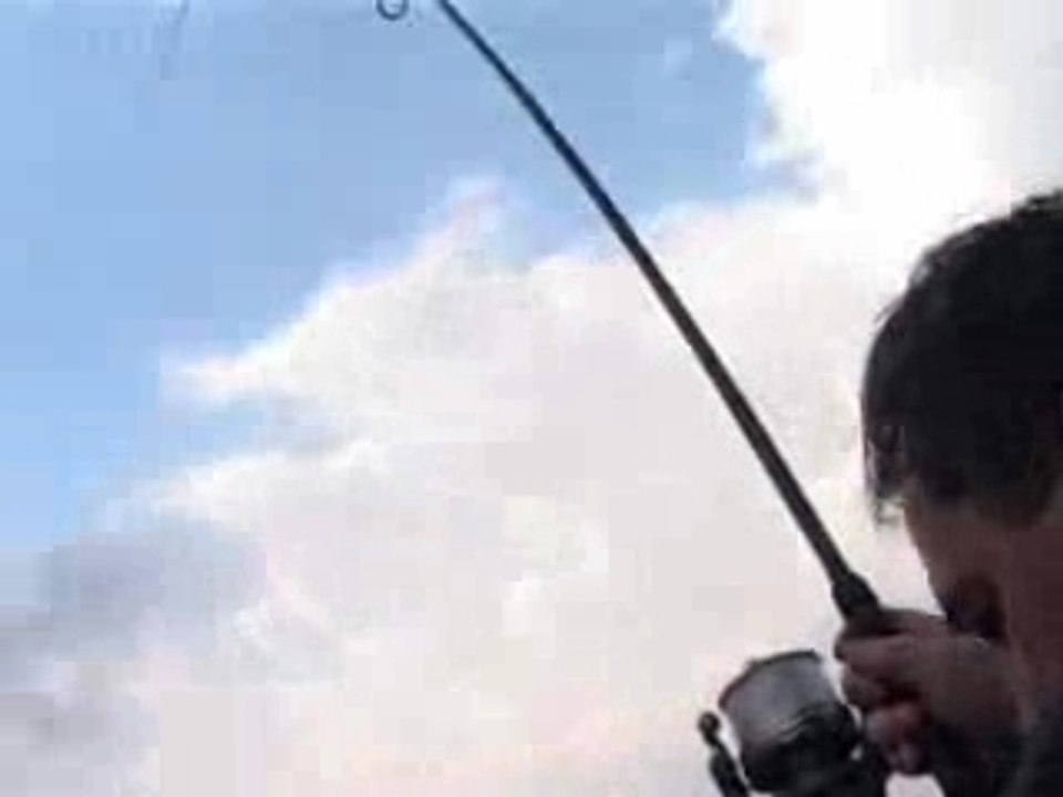 Zwiastun_nakarpie_pl_3