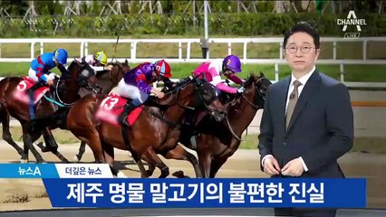 [더깊은뉴스]제주 명물 말고기의 불편한 진실