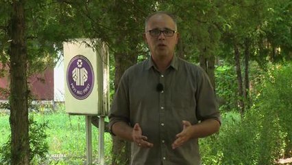 Pirot: "Prvi maj" u stečaju