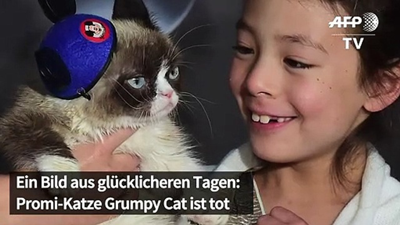 Grumpy Cat ist tot