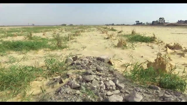 Göle dönen Amik Ovası'ndaki su seviyesi azaldı - HATAY