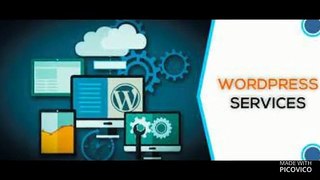 custom WordPress development.