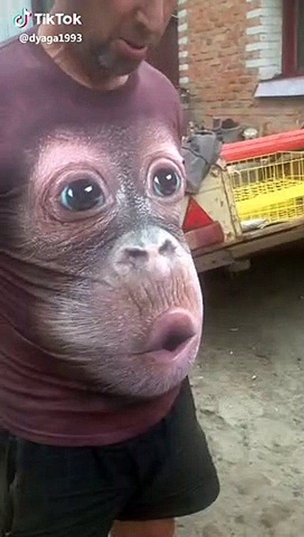 Plus De 10 000 Images De Singe Drole Et De Singe