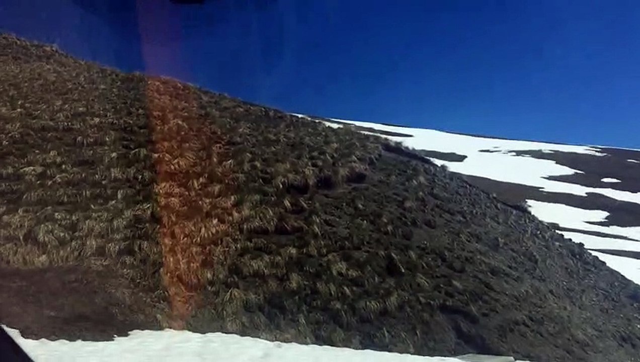 Et la marmotte...