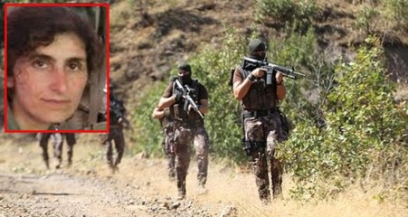 Siirt'te, 300 Bin TL Ödülle Gri Kategoride Aranan Terörist Etkisiz Hale Getirildi