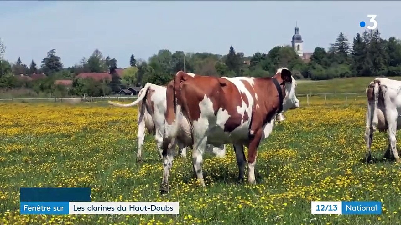 Artisanat : le secret des clarines du Haut-Doubs