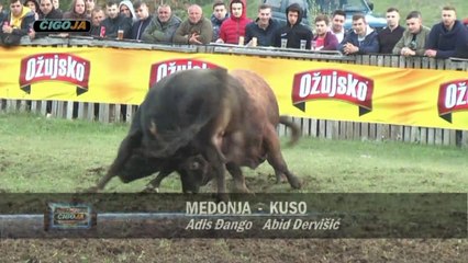 KUSO MEDONJA RAKITNO 2019