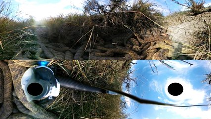 360 Degree View Inside Rattlesnake Den