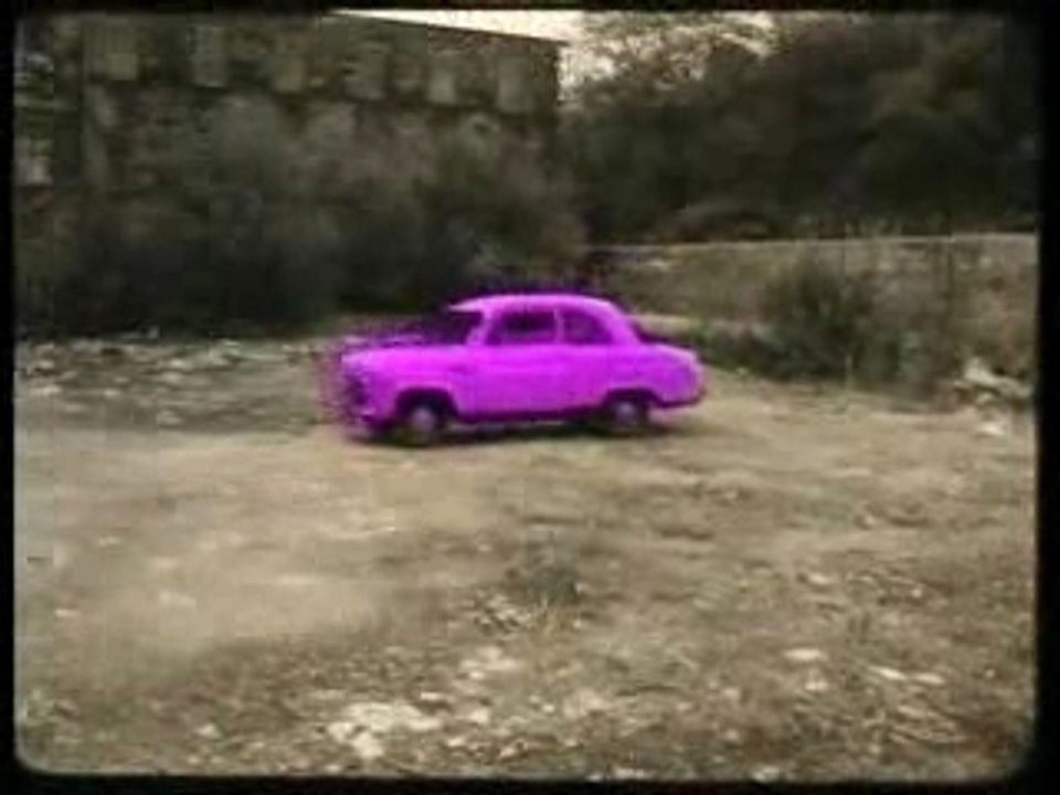 Car-Zoo 1981