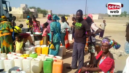 [Grand reportage] Foundiougne, quand l'eau de mer coule des robinets…