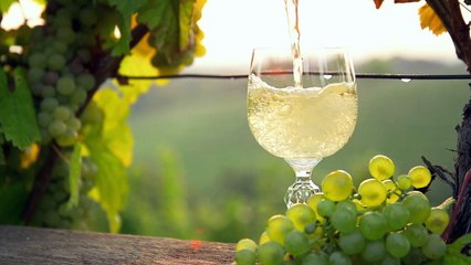 Teaser In Vino Pézenas 2019