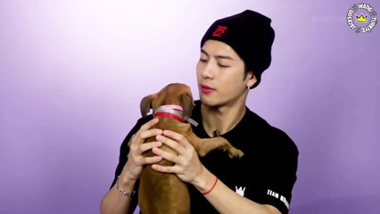 [Türkçe Altyazılı] Jackson Yavru Köpeklerle Oynarken Fanlardan Gelen Soruları Cevaplıyor