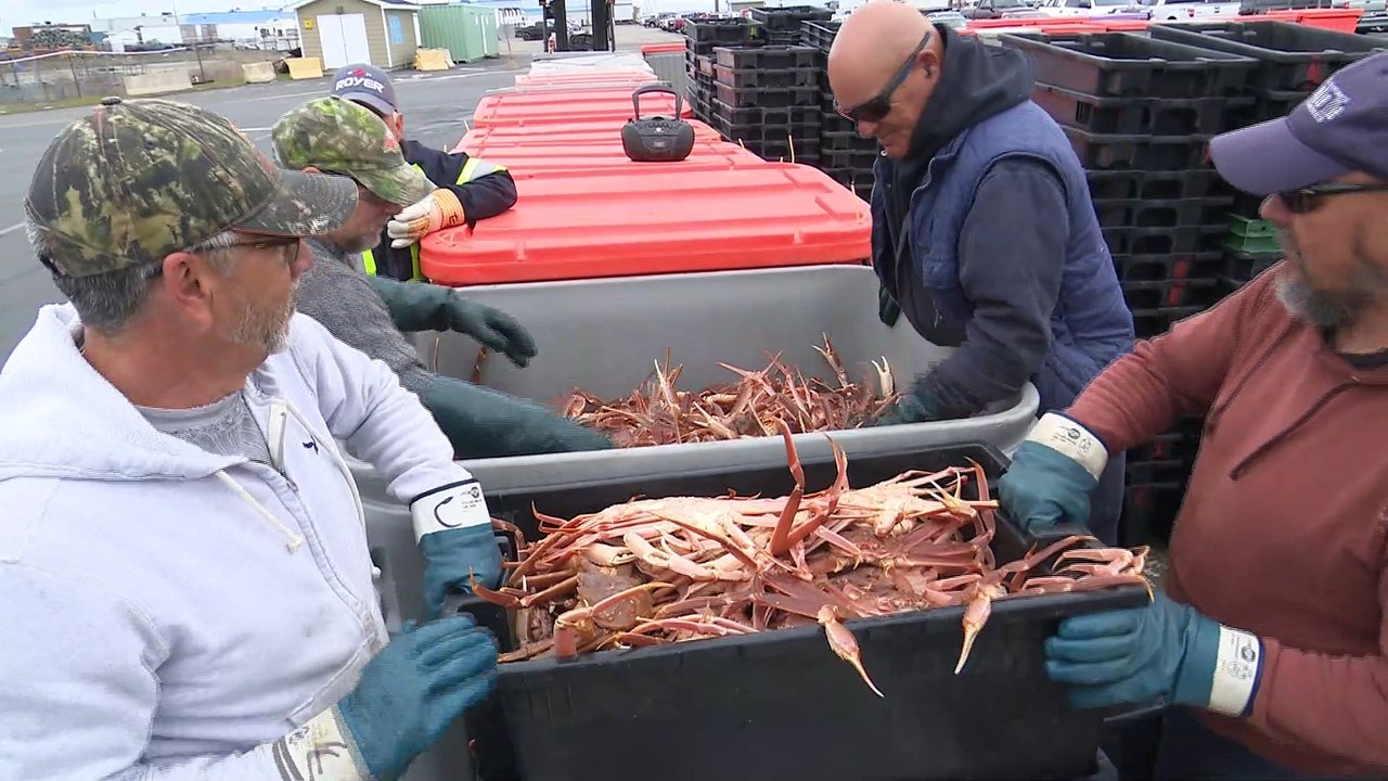 Permis de pêche du Nouveau-Brunswick vendus à l’étranger