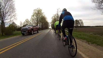 Close Encounters of the Bird Kind