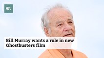 Bill Murray Wants To Work On The New 'Ghostbusters' Movie