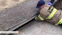 Watch: Firefighter Saves Fawn Trapped In Storm Drain