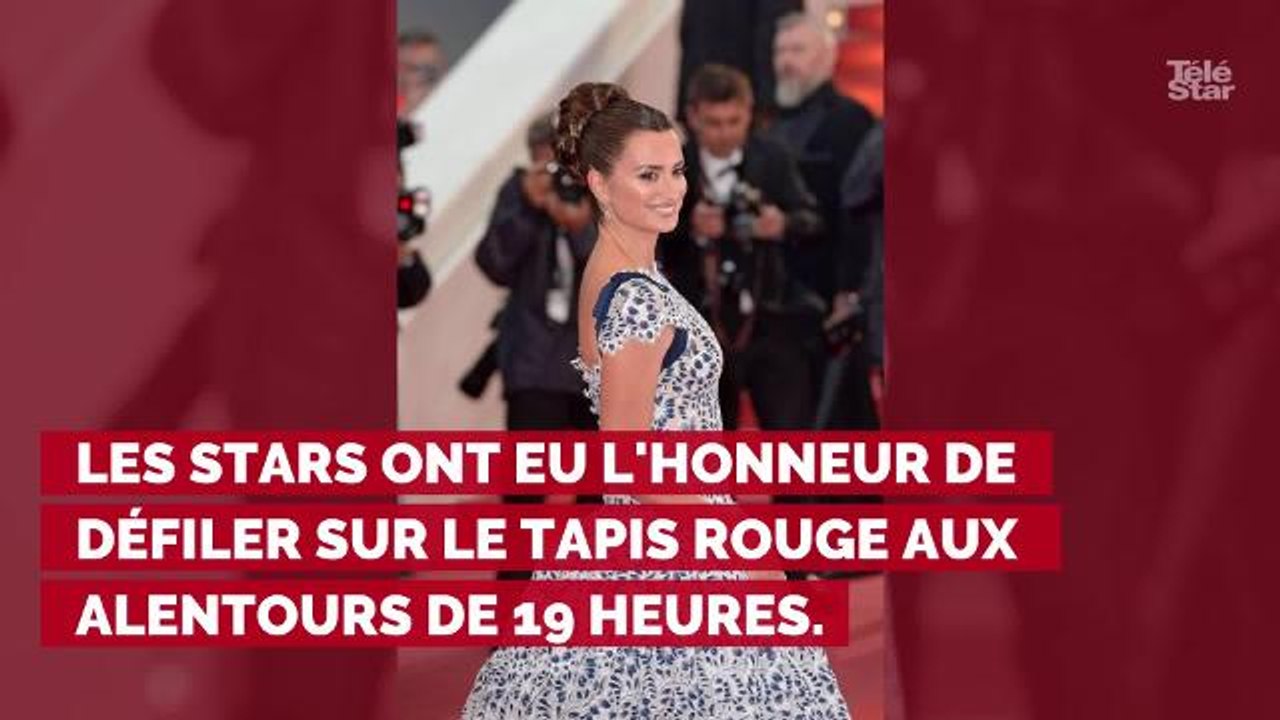 PHOTOS. Cannes 2019 : Penélope Cruz, Nagui et son épouse Mélanie Page... revivez la montée des marches du 17 mai