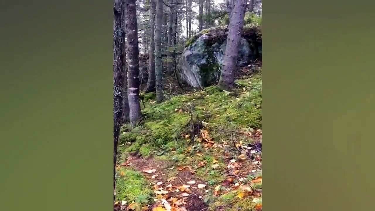 Breathing earth