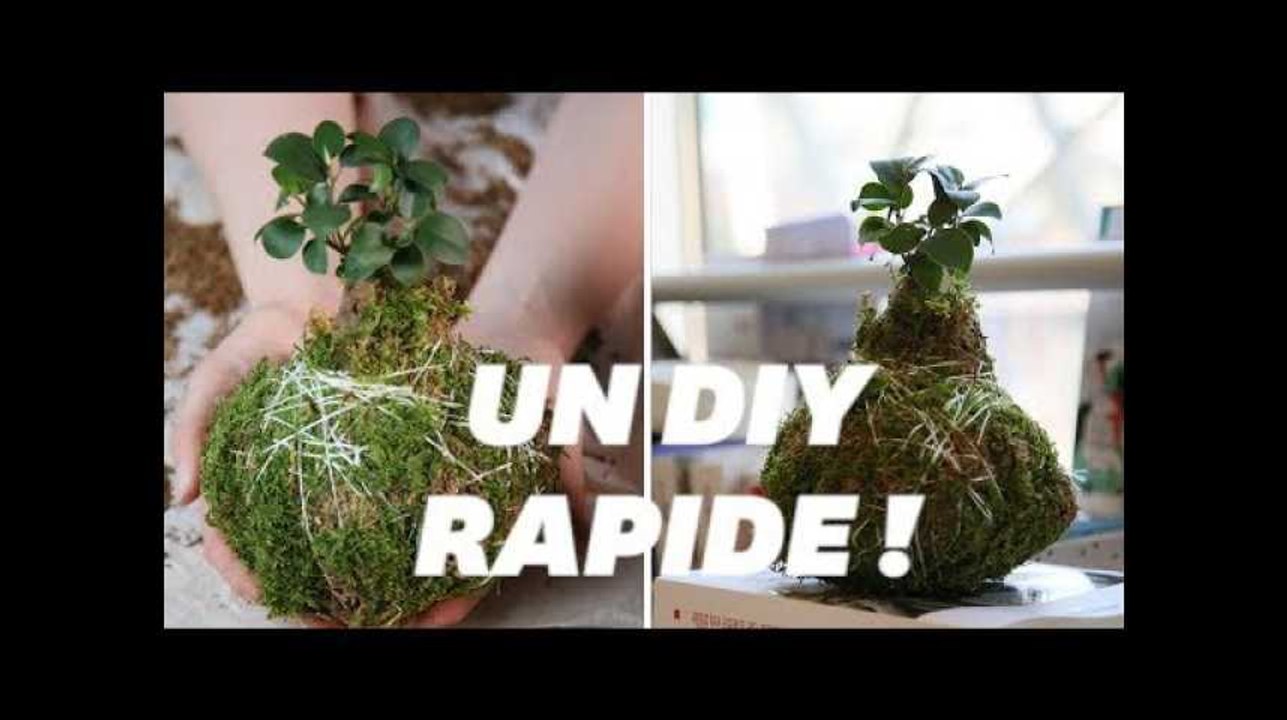 Comment réaliser un Kokedama, l'art végétal japonais qui met en valeur les plantes