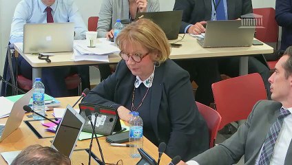 Commission du développement durable : Orientation des mobilités (suite) (arts. 21 A à 23) - Vendredi 17 mai 2019