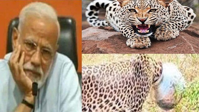 நெட்டிசன்கள் மோடியின் பிரஸ் மீட்டை பற்றி என்னவெல்லாம் சொல்லியிருக்கிறார்கள்- வீடியோ