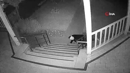 Sürünerek Hırsızlık Yapmaya Çalışan Şüpheli Kamerada