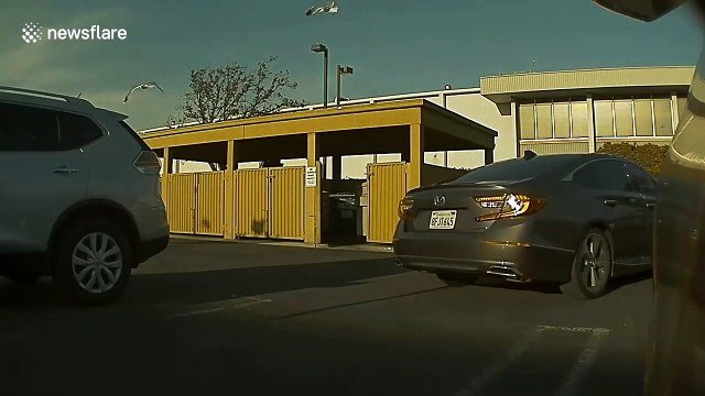 Tesla cameras catch thieves robbing vehicle