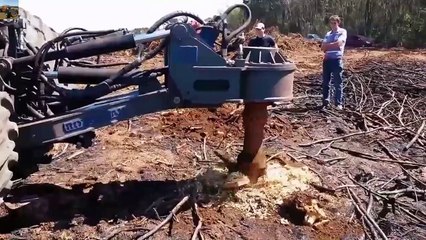 Hug Mega Machines!!...Extreme Bulldozer Forest Clearance Equipment Look So Seriously(1)