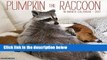 Full version  2017 Pumpkin the Raccoon Wall Calendar  Review
