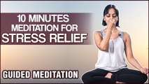 10 Minutes Meditation Can Reduce Your Stress - Guided Meditation for Beginners by Vibha